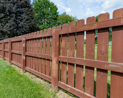 Fence Panel Replacement